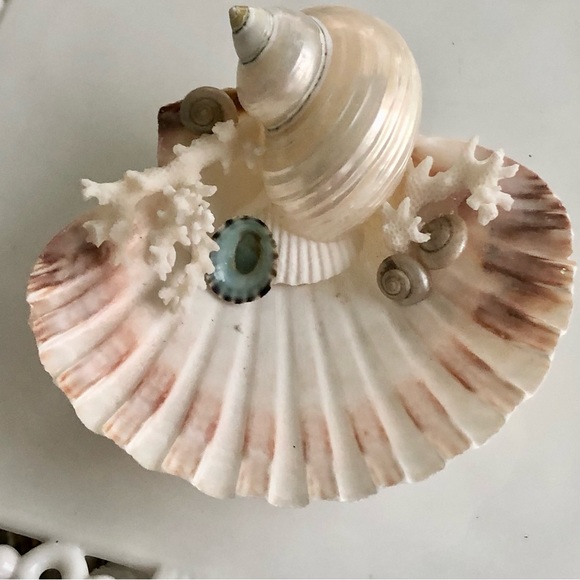 Just In! NEW Scallop Seashell Ring Holder - Picture 1 of 5